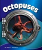 Octopuses (Hardcover) - Kara L Laughlin Photo