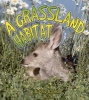 A Grassland Habitat (Paperback) - Kelley MacAulay Photo