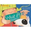 What If?: A Book About Recycling (Paperback) - Mick Manning Photo