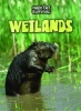 Wetlands (Paperback) - Buffy Silverman Photo