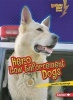 Hero Law Enforcement Dogs (Paperback) - Jennifer Boothroyd Photo