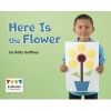 Here is the Flower (Paperback) - Kelly Gaffney Photo