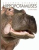 Hippopotamuses (Paperback) - Kate Riggs Photo