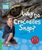 Why Do Crocodiles Snap? Level 3 Factbook (Paperback) - Peter Rees Photo