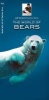 The World of Bears (Pamphlet) - James Kavanagh Photo