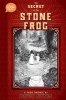 The Secret Of The Stone Frog (Hardcover) - David Nytra Photo