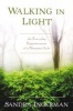 Walking in Light - The Everyday Empowerment of a Shamanic Life (Paperback) - Sandra Ingerman Photo