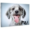 Rescue Me - Dog Adoption Portraits and Stories, from New York City (Hardcover) - Richard Phibbs Photo