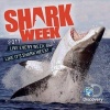 Shark Week (Calendar) - Discovery Channel Photo