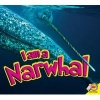 I Am a Narwhal (Paperback) - Aaron Carr Photo