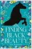 Finding Black Beauty (Hardcover) - Lou Kuenzler Photo