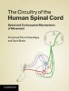 The Circuitry of the Human Spinal Cord - Spinal and Corticospinal Mechanisms of Movement (Hardcover, Revised) - Emmanuel Pierrot Deseilligny Photo