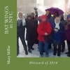 Bat Wings in NYC and the Blizzard of 2016 (Paperback) - Mary Miller Photo