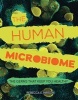 The Human Microbiome - The Germs That Keep You Healthy (Hardcover) - Rebecca E Hirsch Photo