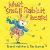 What Small Rabbit Heard (Paperback) - Sheryl Webster Photo