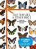 Butterflies and Other Bugs - From the  (Book) - Natural History Museum Photo