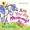 Are You My Mummy? (Board book) - Mary Murphy Photo