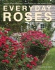 Everyday Roses - How to Grow Knock Out and Other Easy Care Garden Roses (Paperback) - Paul Zimmerman Photo