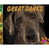 Great Danes (Hardcover) - Allan Morey Photo