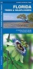 Florida Trees & Wildflowers: A Folding Pocket Guide to Familiar Species (Paperback) - James Kavanagh Photo