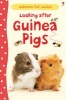 Looking After Guinea Pigs (Hardcover) - Laura Howell Photo