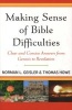 Making Sense of Bible Difficulties - Clear and Concise Answers from Genesis to Revelation (Abridged, Paperback, abridged edition) - Norman L Geisler Photo