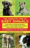 The Complete Care of Baby Animals - Expert Advice on Raising Orphaned, Adopted, or Newly Bought Kittens, Puppies, Foals, Lambs, Chicks, and More (Paperback, 2nd) - CE Spaulding Photo