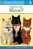 Why Do Cats Meow? (Paperback) - Joan Holub Photo