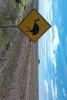 Emu Crossing Sign in Patagonia, Argentina - Blank 150 Page Lined Journal for Your Thoughts, Ideas, and Inspiration (Paperback) - Unique Journal Photo