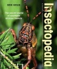 Insectopedia - The Secret World of Southern African Insects (Paperback) -  Photo