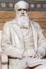 Charles Darwin Marble Statue in the Natural History Museum London England - 150 Page Lined Notebook/Diary (Paperback) - Cs Creations Photo