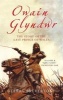 Owain Glyndwr - The Story of the Last Prince of Wales (Paperback) - Terry Breverton Photo