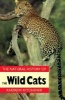 The Natural History of the Wild Cats (Paperback, 1st New edition) - Andrew Kitchener Photo