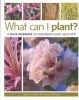 What Can I Plant? - A Quick Reference to Foolproof Plant Selection (Paperback) - Tanya Visser Photo