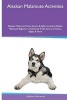 Alaskan Malamute Activities Alaskan Malamute Tricks, Games & Agility. Includes - Alaskan Malamute Beginner to Advanced Tricks, Series of Games, Agility and More (Paperback) - Stephen Underwood Photo