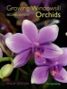 Growing Windowsill Orchids (Paperback, New edition) - Philip Seaton Photo