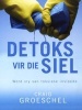 Detoks Vir Die Siel (Afrikaans, Paperback) - Craig Groeschel Photo