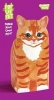 Pop Up Pet Ginger Tom (Cards) - Roz Streeten Photo