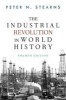 The Industrial Revolution in World History (Paperback, 4th Revised edition) - Peter N Stearns Photo