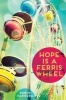 Hope is a Ferris Wheel (Hardcover) - Robin Herrera Photo