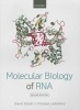 Molecular Biology of RNA (Paperback, 2nd Revised edition) - David Elliott Photo