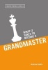 What it Takes to Become a Grandmaster (Paperback) - Andrew Soltis Photo