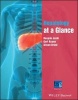 Hepatology at a Glance (Paperback) - Deepak Joshi Photo