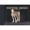 Beautiful Horses Postcard Book - 30 Postcards of Champion Breeds to Keep or to Send (Postcard book or pack) - Andrew Perris Photo