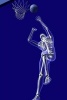 Basketball Anatomy Study Journal - 150 Page Lined Notebook/Diary (Paperback) - Cool Image Photo