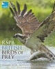 RSPB British Birds of Prey (Hardcover) - Marianne Taylor Photo