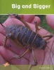 Big and Bigger - Set 1 (Paperback) -  Photo