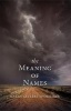 The Meaning of Names (Paperback) - Karen Shoemaker Photo