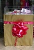 Box with Ribbon Journal (Paperback) - Dibiasio Publications Photo