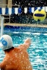 Water Polo Player Sports Journal - 150 Page Lined Notebook/Diary (Paperback) - Cs Creations Photo